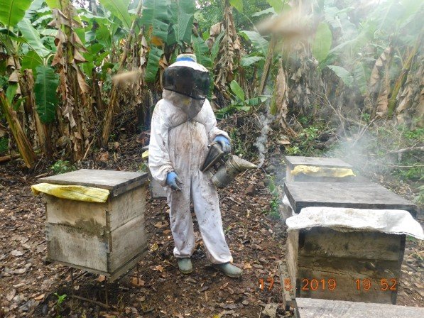 Implementación de 2 iniciativas apícolas.